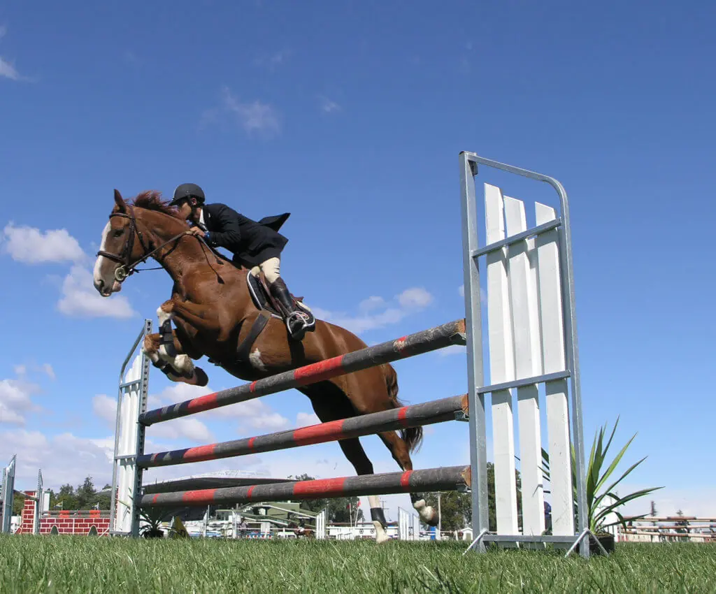 東京五輪・馬術競技のチケット