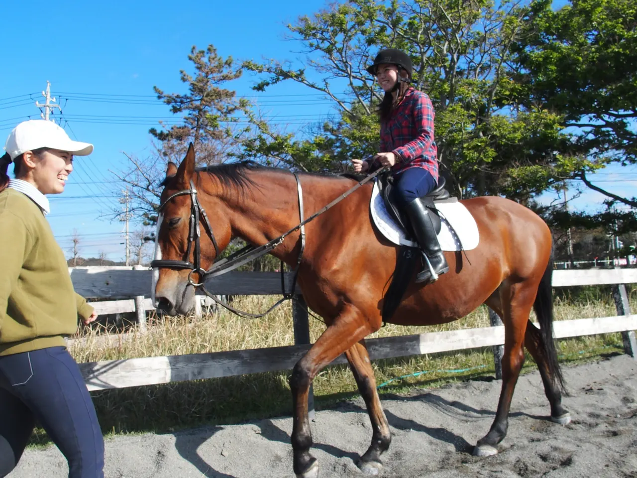 パロミノ・ポニークラブで乗馬体験