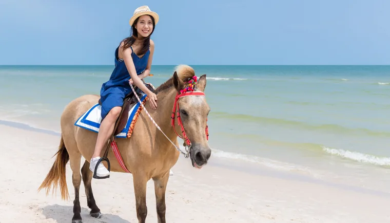 穏やかな海辺で馬に乗る人
