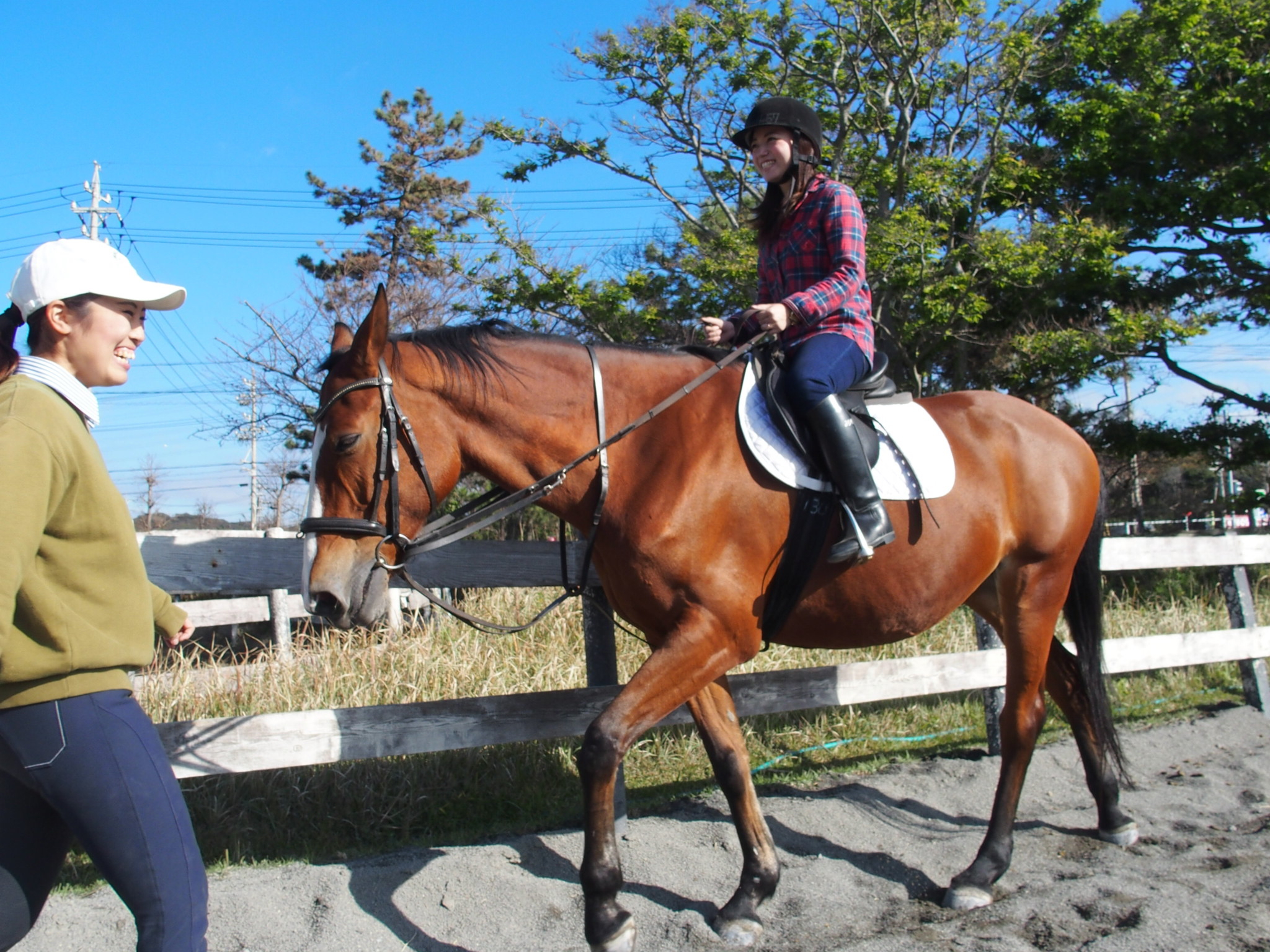 パロミノ ポニークラブで乗馬体験 初心者でも安心して楽しめます 馬旅