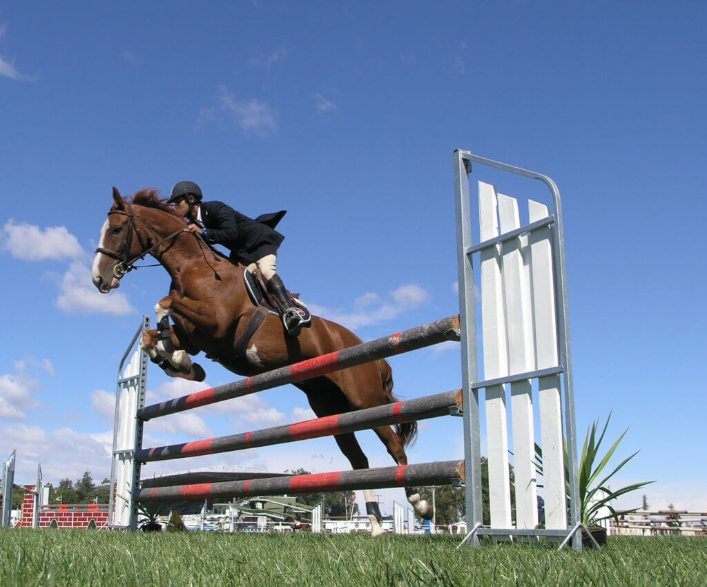 東京五輪・馬術競技のチケット 馬旅